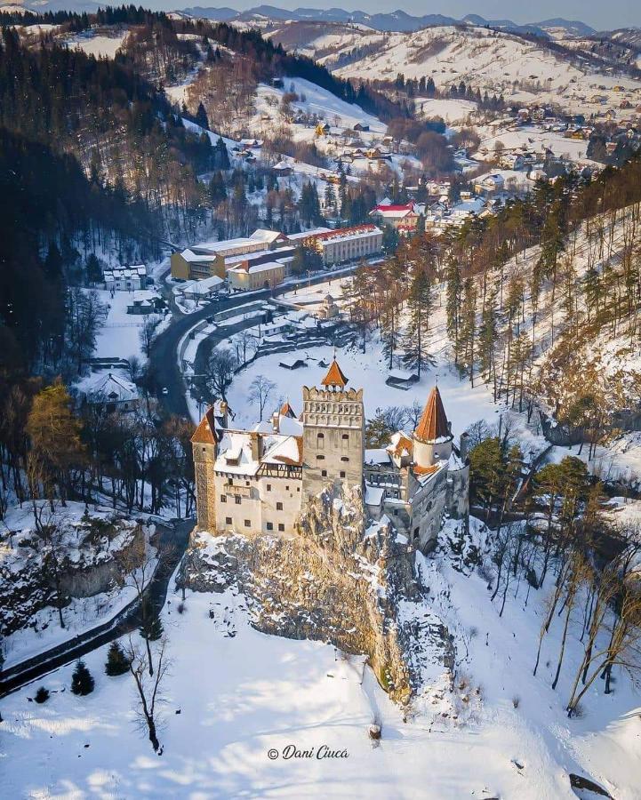 Guest House Piatra Craiului Bran  Exterior photo