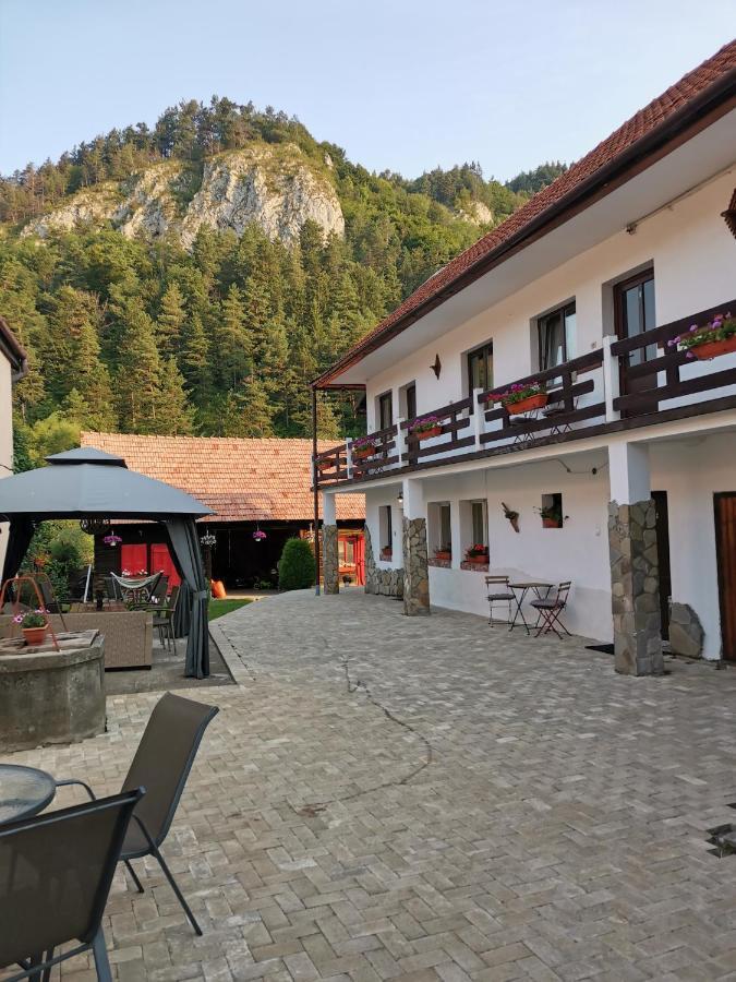 Guest House Piatra Craiului Bran  Exterior photo