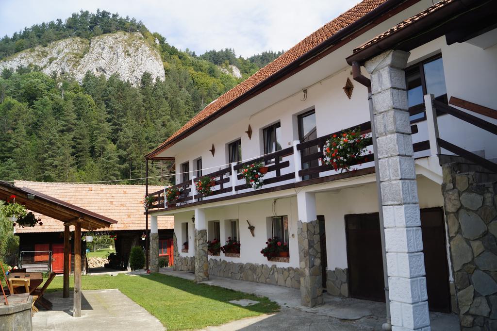 Guest House Piatra Craiului Bran  Exterior photo